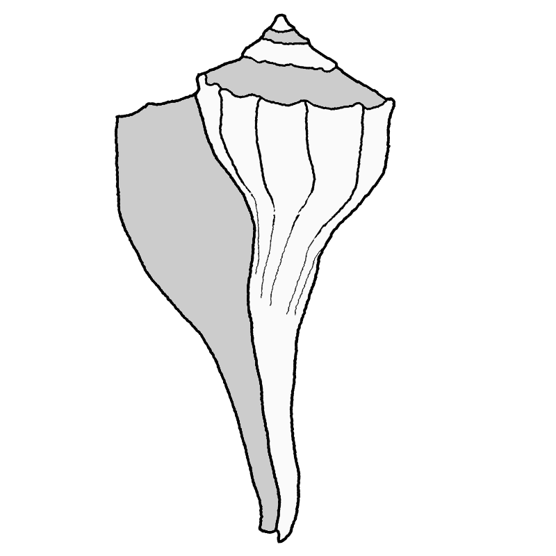 Royal Bard - Minister of Arts & Sciences, Kingdom of Atlantia