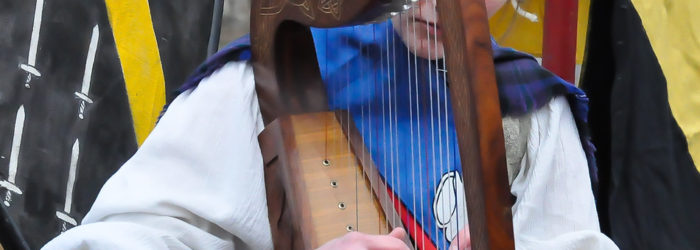 Harp player performing